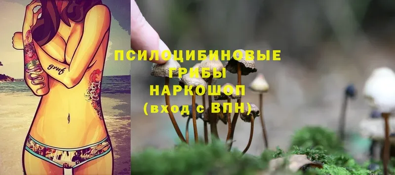 Галлюциногенные грибы Magic Shrooms  магазин  наркотиков  Правдинск 